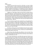 SKKN - Bat Dang Thuc - Anh