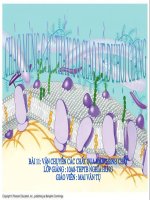 Trao đổi chất qua màng sinh chất