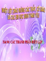 Thành phần biệt lập