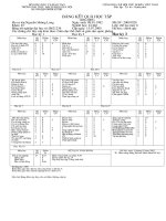 bài 2: co the nguoi