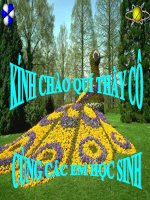 Tiết 11: Học gõ mười ngón