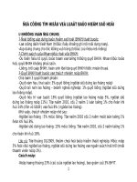 Hướng dẫn sử dụng 1 số điều luật năm 2006