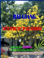 Thứ tư trong tập hợp số nguyên