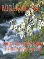 Tức Nước Vỡ Bờ ( Tắt Đèn - Ngô Tất Tố )