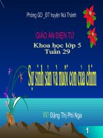 Bài KH:Sự sinh sản và nuôi con của chim