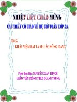 Tiết 42 - Hình 8: Tam giác đồng dạng.