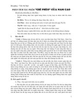 Phân tích Chí Phèo