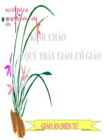GAĐT THAO GIẢNG - PHÉP CHIA PHÂN SỐ