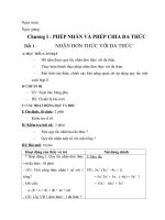 Giáo án Đại số 8 chương I