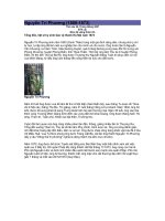 tiểu sử Trương định