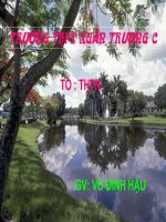 sinh san vo tinh