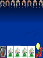 phuong trinh quy ve bac nhat,bac hai