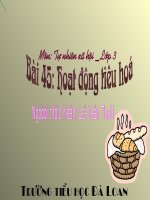 Hoạt động hệ tiêu hoá