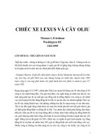 Chiec xe Lexus va cay oliu