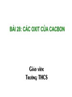 Cac oxit cua cacbon.ppt