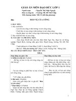 ĐĐ1 tuần 33 (địa phương)