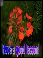 Unit 12. Leson 5: Sports and pastimes