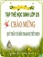 Sinh hoạt Tập thể