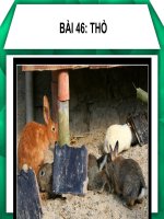 bai 46 sinh7