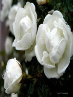 BÀI 1.CÔNG DÂN VỚI SỰ PHÁT TRIỂN KINH TẾ