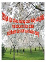 Tiết 138: Ôn Tập TV Lớp 9