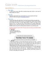 Giáo trình thiết kế Banner bằng Flash