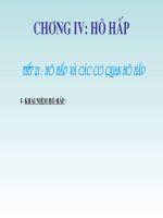 Hô hấp và các cơ quan hô hấp