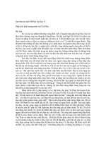 phan tich nhan vat Chi Pheo