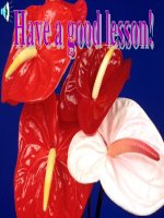 Unit 5: Lesson 5: C. 1 / p. 58