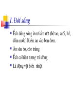 tiết 37. ếch đồng 7