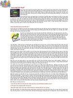 Virut máy tính là gì?