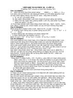 QUANG TRI - OLIMPIC HOA 11