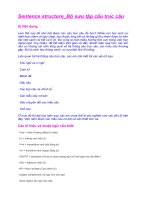 CẤU  TRÚC CÂU