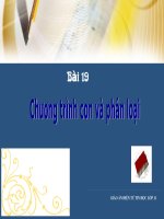 Bài 19: Chương trình con.