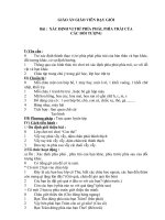 Giáo án Giáo vien dạy giỏi (Lớp lá 1)