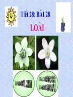 bai 28