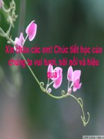 Luật thơ 12 CB
