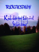 Quan Âm Thị Kính