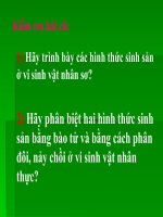 b27,10cb, các yếu tố ảnh hưởng đến sinh trưởng của vi sinh vật