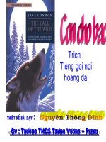 Tiết 105: Con chó bấc