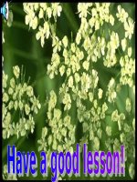 unit 15 leson 2 -Ngoc Hoa LTT-Hai Phong