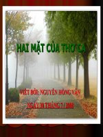 HAI MẶT CỦA THƠ CA