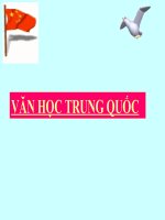 Thuoc lo tan