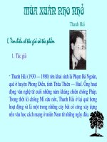 Mùa xuân nho nhỏ