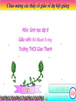 bai 38 cau tao.....Do Manh Truong