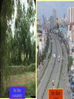 Unit 8 - Listen and Read