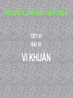 vi khuẩn