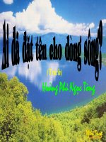 Ai đã đặt tên cho dòng sông