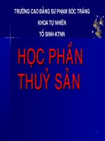 Thủy sản 2