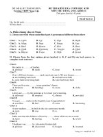 Đề kiểm tra HK II mã đề 132